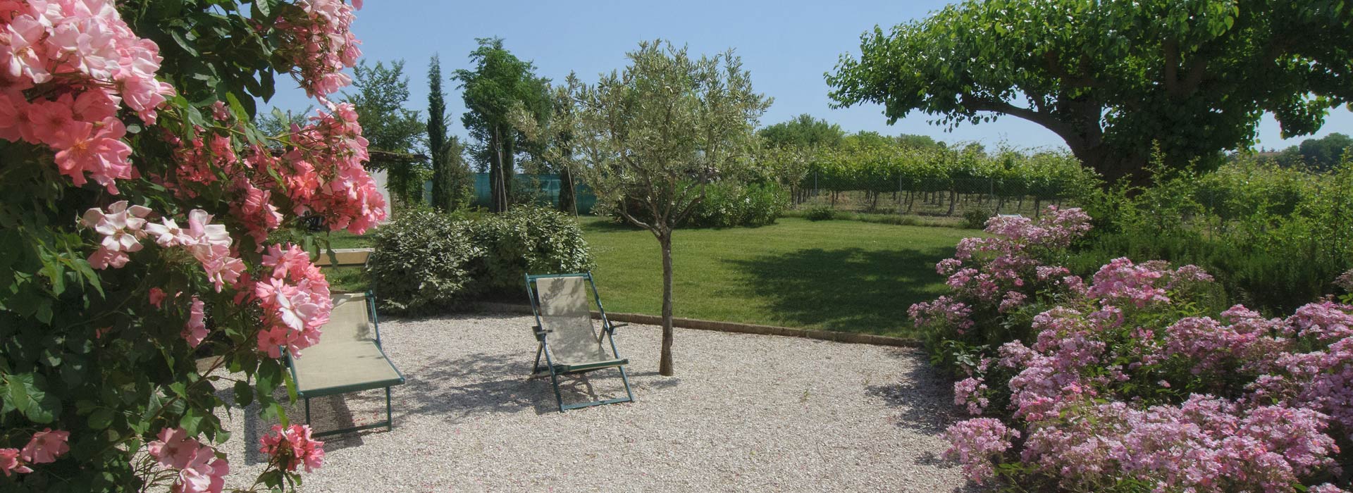 Vigna Sant'Amico Country house Esterni