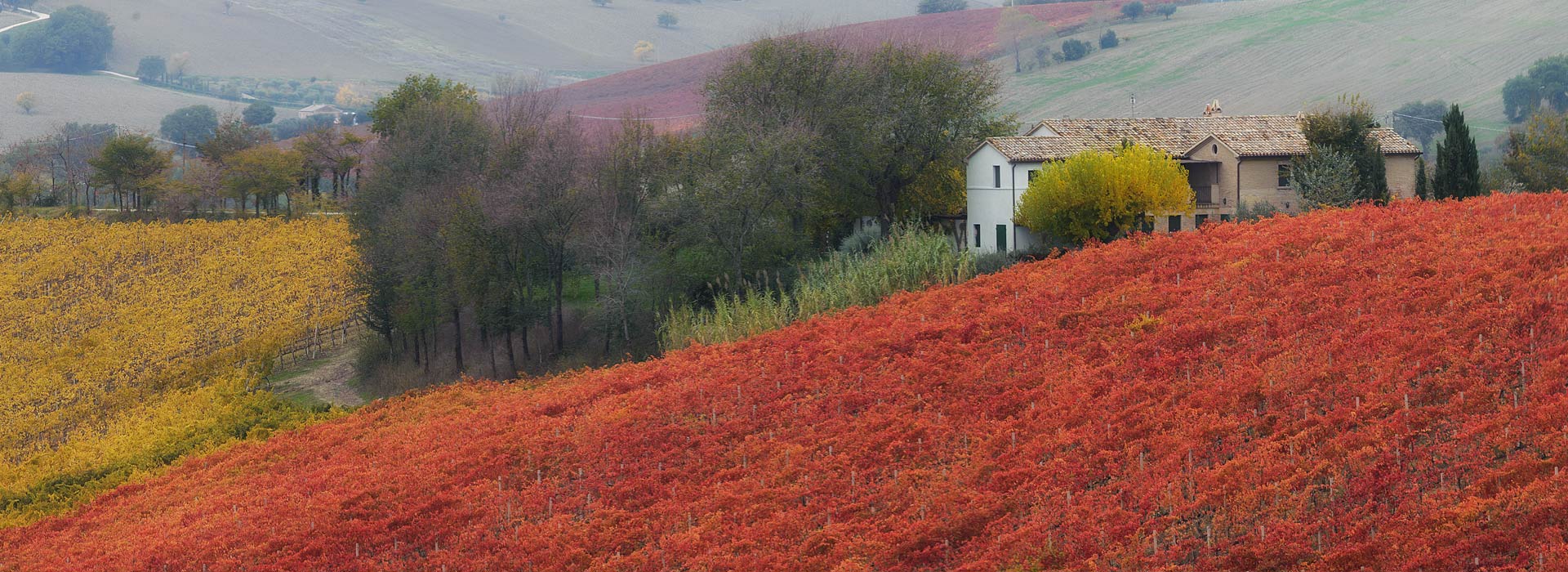 Vigna Sant'Amico Country House Agriturismo nelle Marche